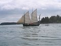 2005 Semaine du Golfe (1)